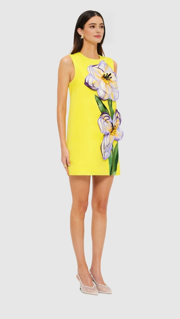 YVONNE APPLIQUÉ FLORAL MINI DRESS IN YELLOW