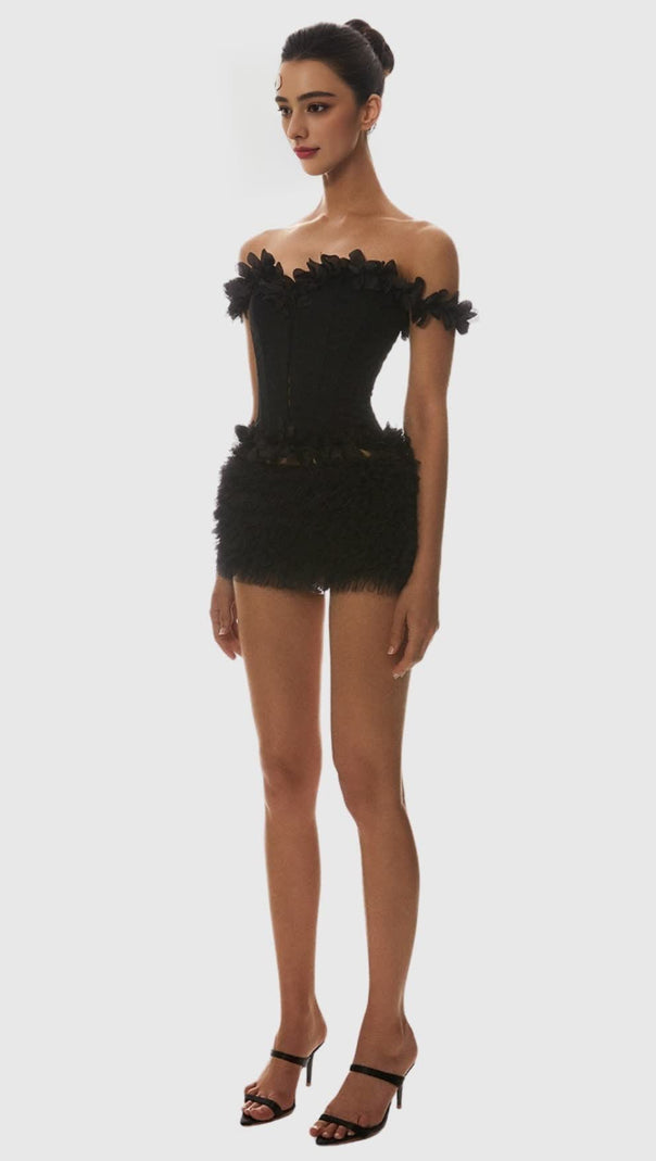 AIIZIE MACKIE OFF SHOULDER LACE UP CORSET - product image