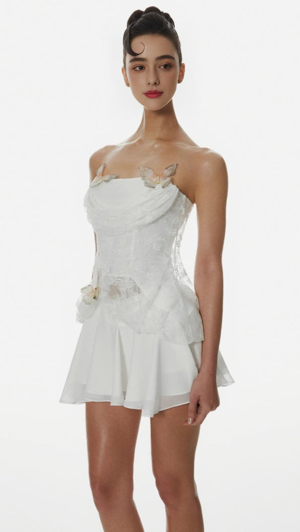AIIZIE DENEQA BUTTERFLY LACE CORSET - product image