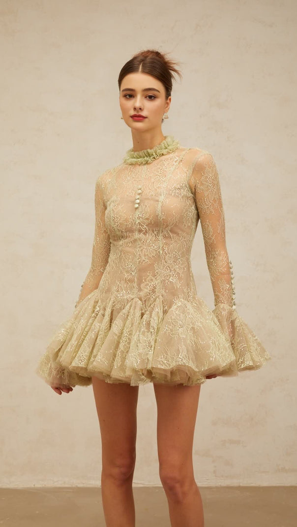 AIIZIE GREEN EMBROIDERED FLARED MINI DRESS - product image