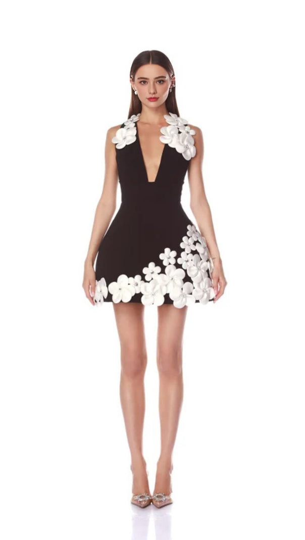 AIIZIE BLACK AND WHITE MINI DRESS - product image
