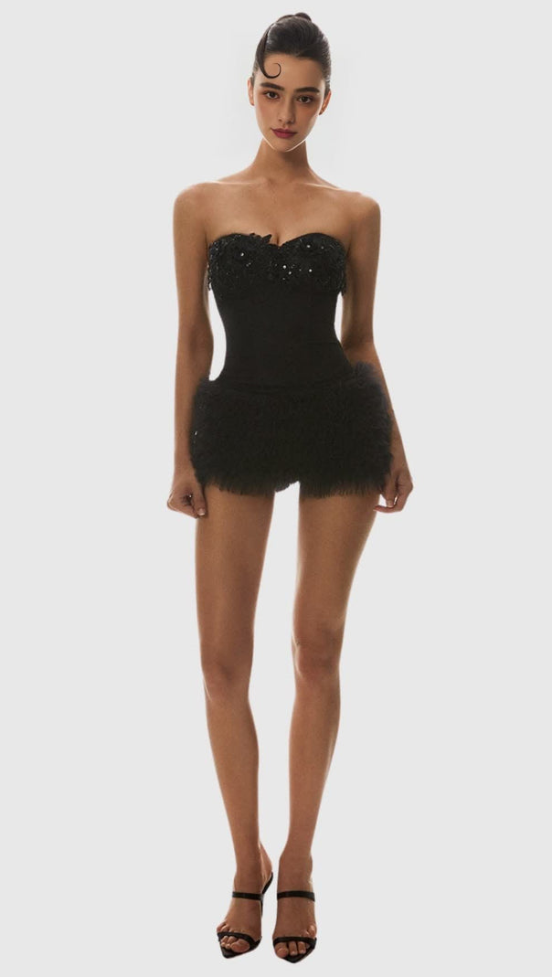 AIIZIE NKETIA SEQUIN EMBROIDERY STRAPLESS CORSET - product image
