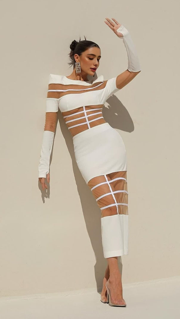 AIIZIE WHITE MESH - PANELED LONG - SLEEVE BODYCON MIDI DRESS - product image