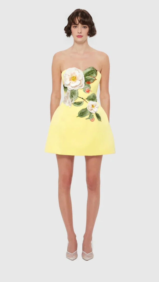 AIIZIE SUZANNE APPLIQUÉ FLORAL BUSTIER MINI DRESS IN YELLOW - product image