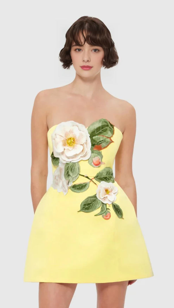 AIIZIE SUZANNE APPLIQUÉ FLORAL BUSTIER MINI DRESS IN YELLOW - product image