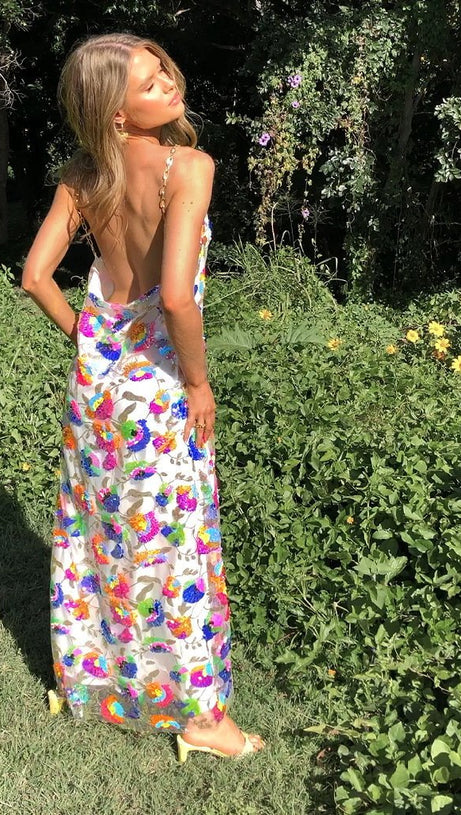 Fanny Embroidered Sequins Backless Maxi Dress
