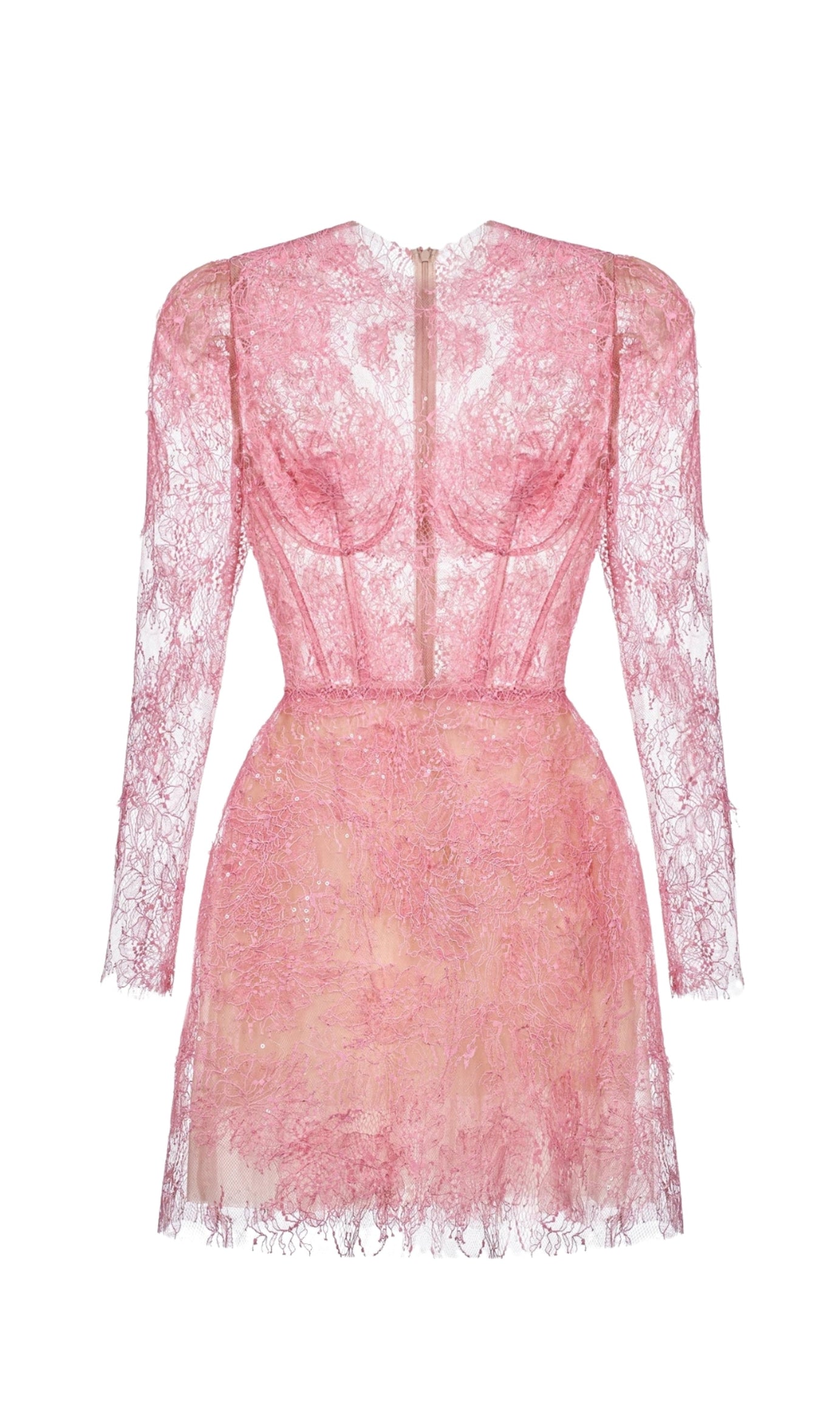 FLORAL AND RAMAGE EMBROIDERY MIDI DRESS