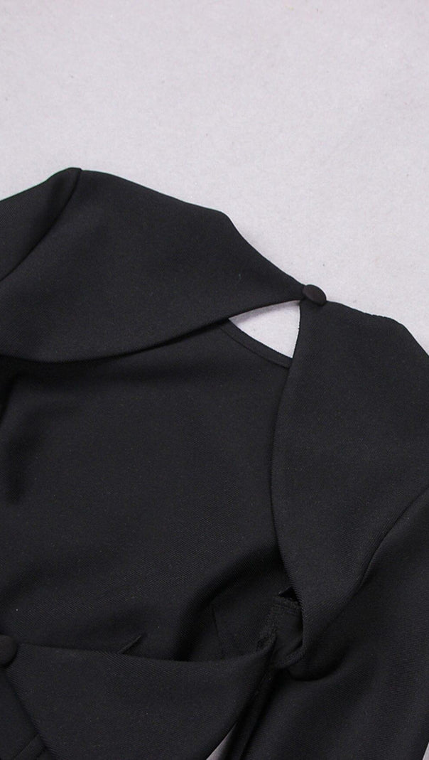 AIIZIE LONG SLEEVE TIGHT BACKLESS DRESS IN BLACK - product image
