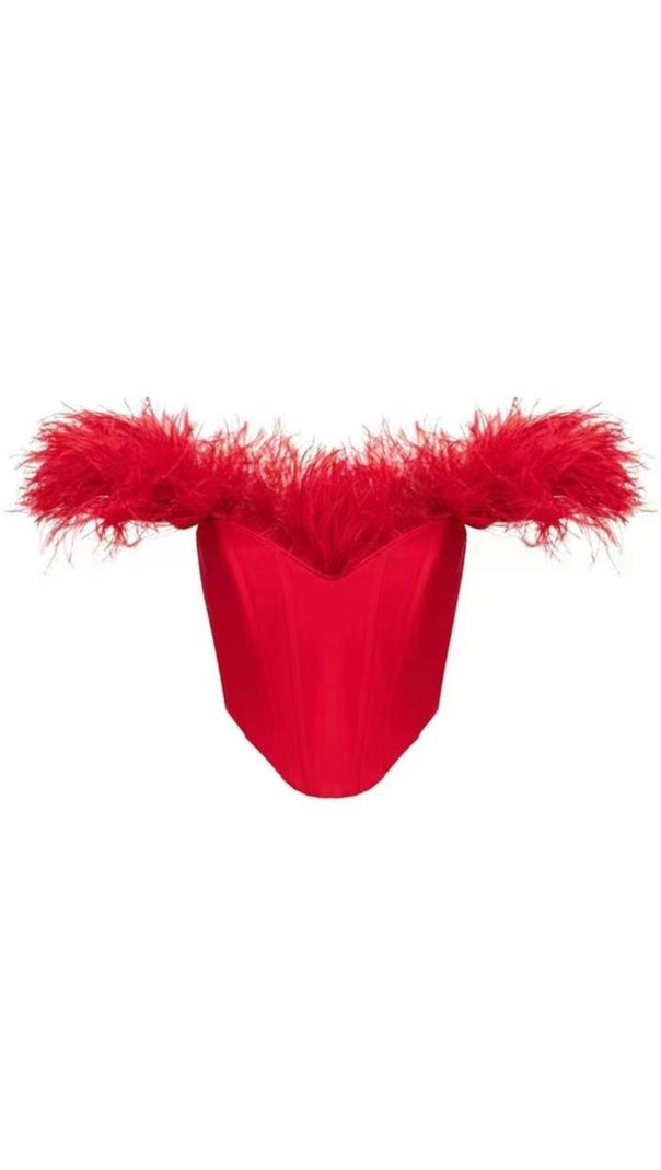 AIIZIE OFF SHOULDER FEATHER CORSET TOP - product image