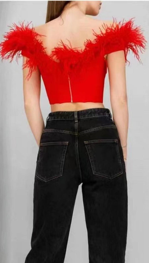 AIIZIE OFF SHOULDER FEATHER CORSET TOP - product image