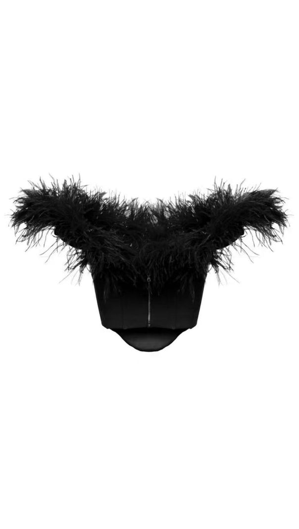 AIIZIE OFF SHOULDER FEATHER CORSET TOP - product image