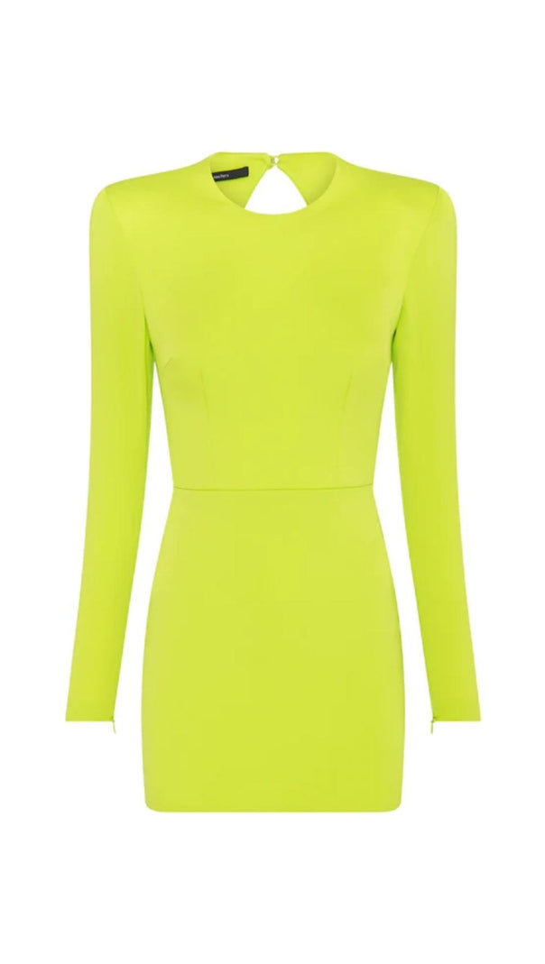 AIIZIE LONG SLEEVE BACKLESS MINI DRESS IN GREEN - product image