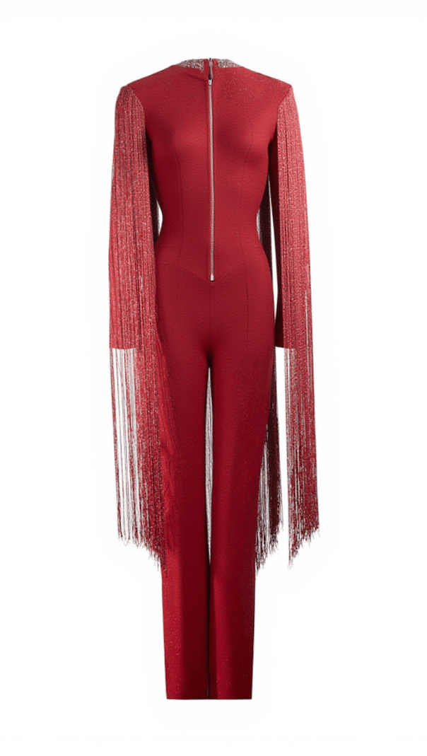 AIIZIE LISANNE LONG SLEEVE FRINGE BANDAGE JUMPSUIT - product image