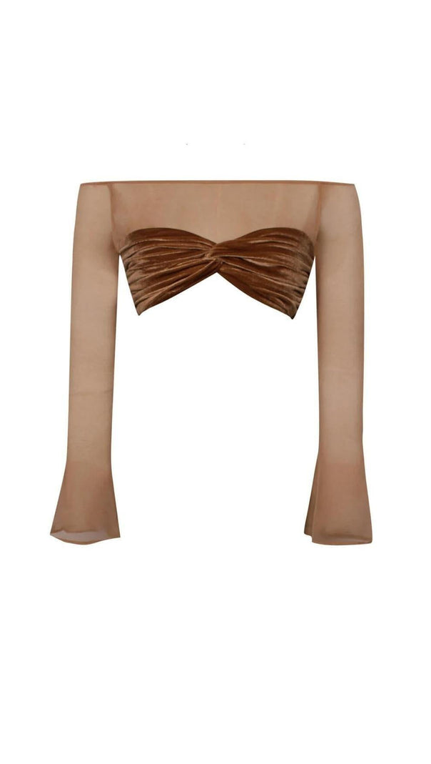 AIIZIE VELVET MESH SLEEVE TWO PIECE SUIT - product image