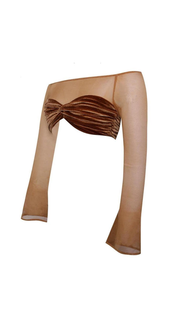 AIIZIE VELVET MESH SLEEVE TWO PIECE SUIT - product image