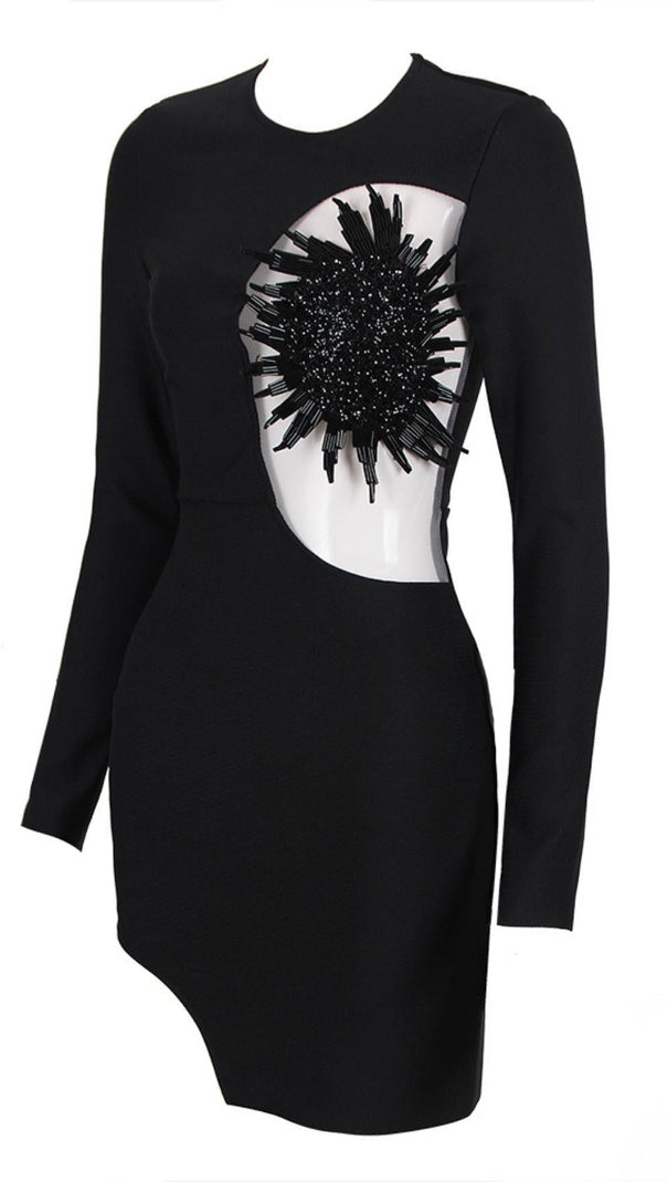 AIIZIE FLOWER LONG SLEEVE MINI BANDAGE DRESS IN BLACK - product image