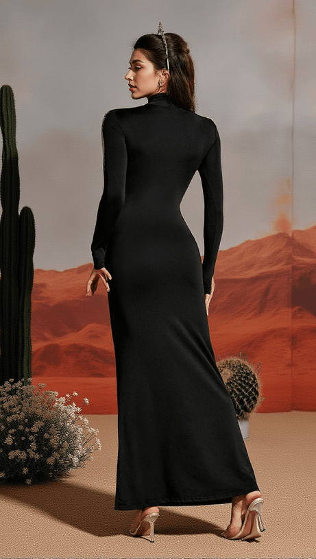 LIDAL LONG SLEEVE BODY PRINTED MAXI DRESS IN SILVER