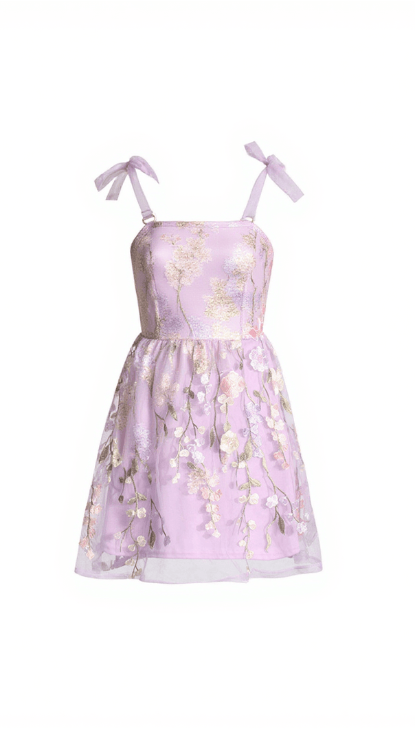 AIIZIE PHILIP LACE UP EMBROIDERED MINI DRESS - product image