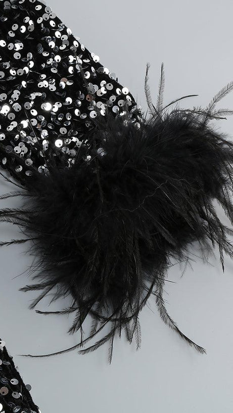 SEQUIN FEATHER LONG SLEEVES MIDI DRESS