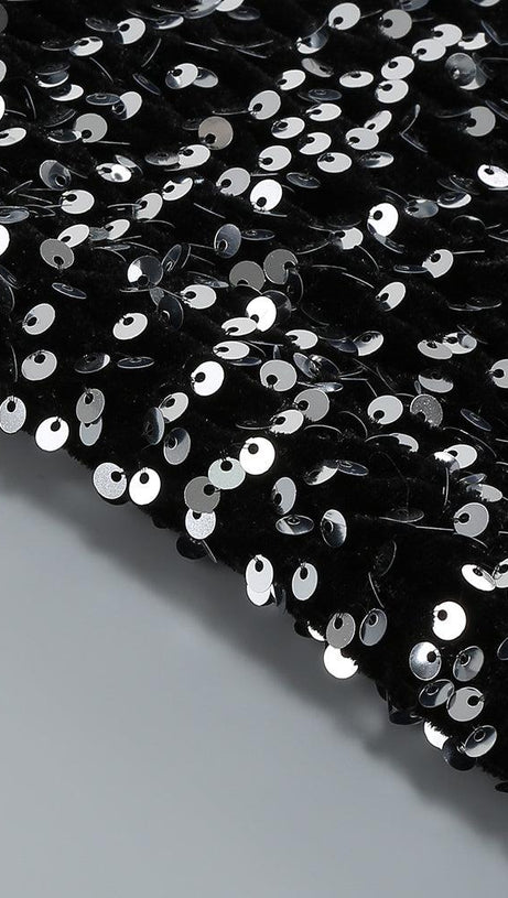 SEQUIN FEATHER LONG SLEEVES MIDI DRESS