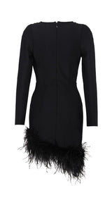 LONG SLEEVES FEATHER MINI DRESS IN BLACK