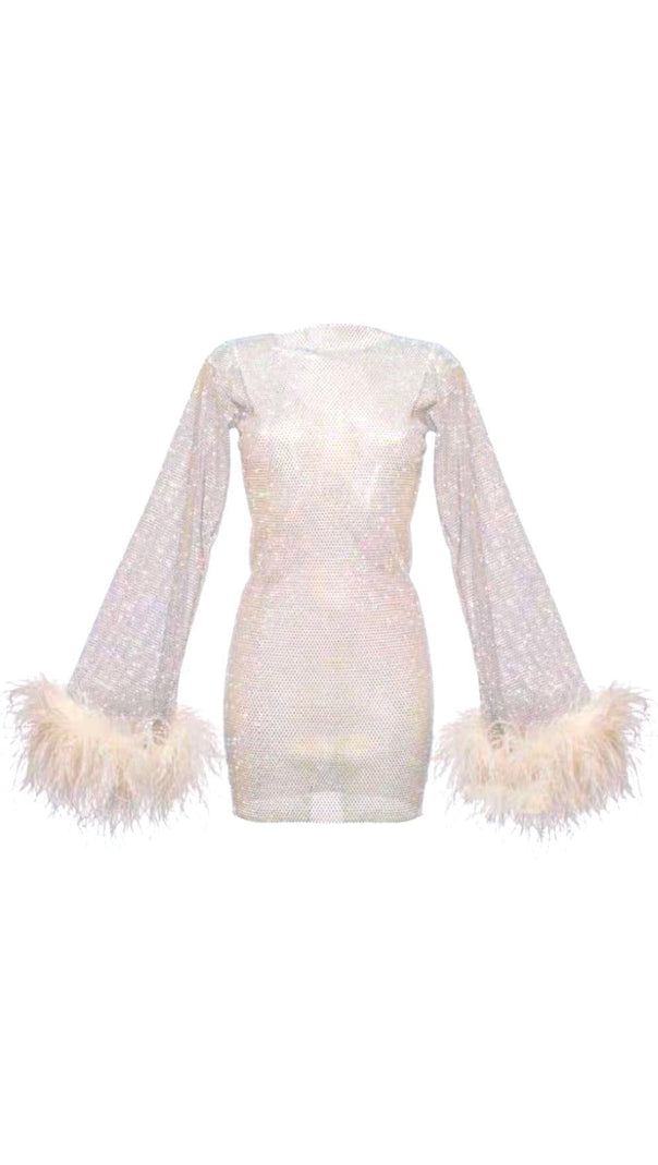 AIIZIE FEATHER MESH MINI DRESS - product image