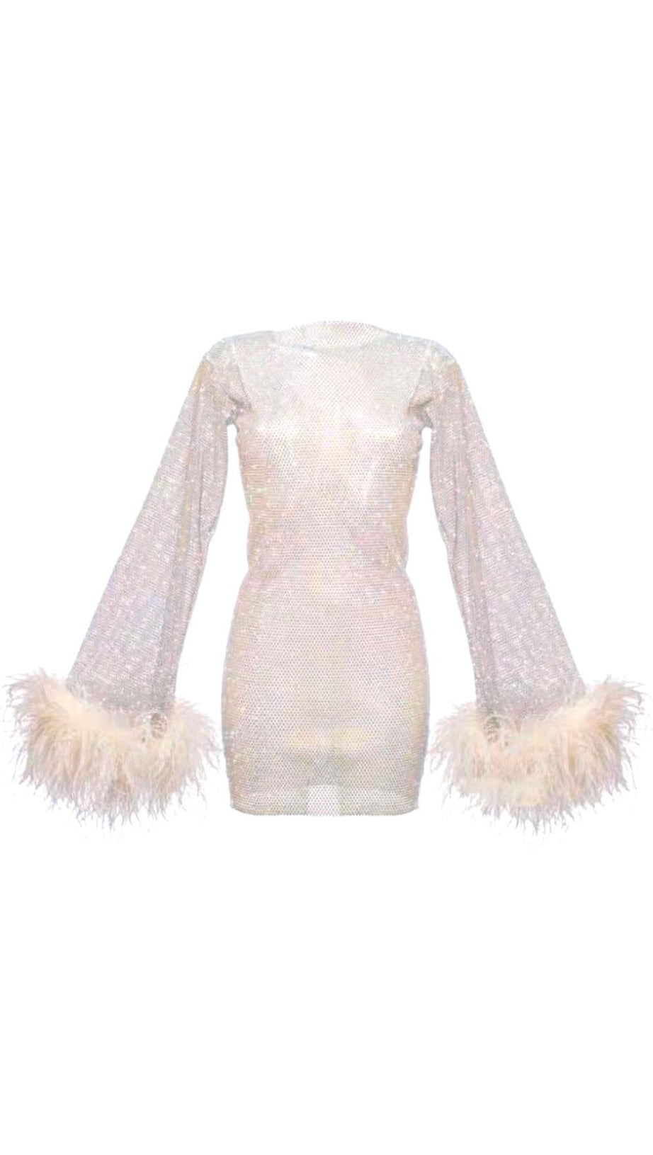 FEATHER MESH MINI DRESS