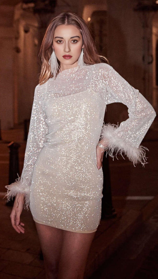 AIIZIE FEATHER MESH MINI DRESS - product image