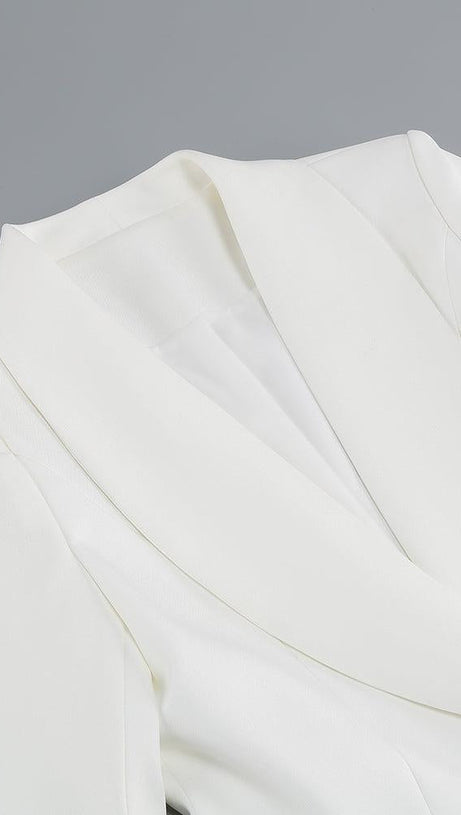 LONG SLEEVES FEATHER MINI DRESS IN WHITE