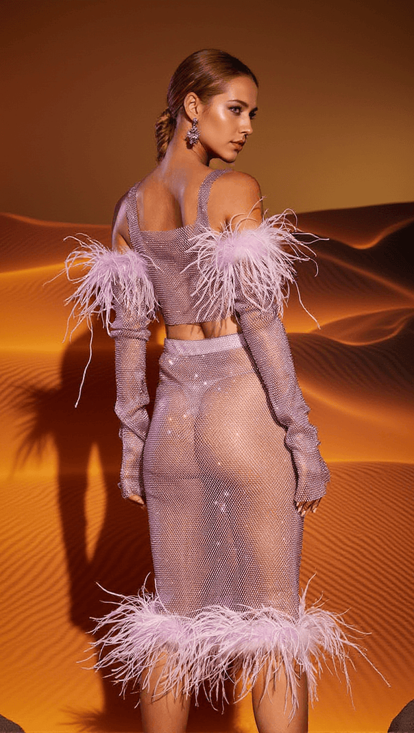 AIIZIE AVERY MESH DIAMOND FEATHER TRIMMED SKIRT SET - product image