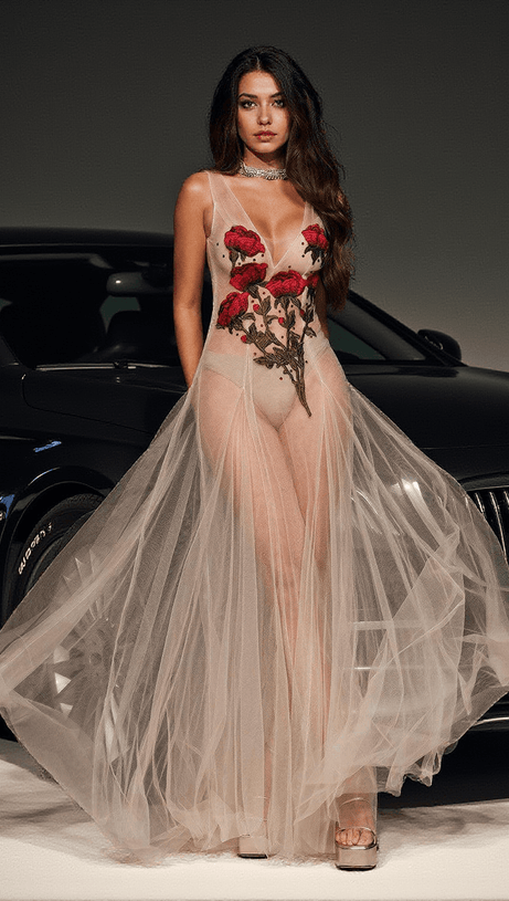 Kateri Netzkleid mit Blumenstickerei und V-Ausschnitt