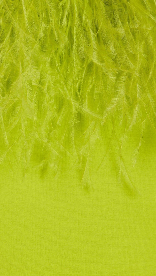 ABITO MIDI CON SPALLE SCOPERTE E PIUME
