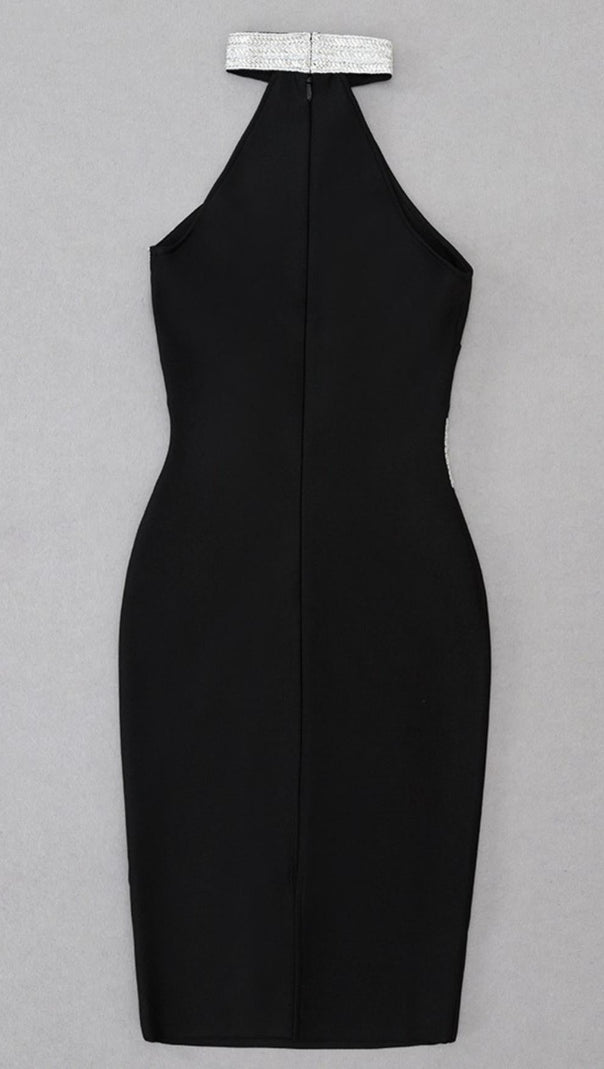AIIZIE HALTER BODYCON MINI DRESS - product image