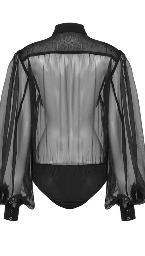 AIIZIE LONG SLEEVE MESH TOP - product image