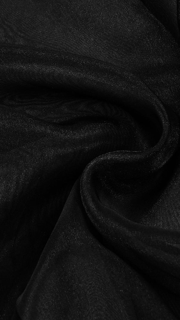 AIIZIE LONG SLEEVE MESH TOP - product image