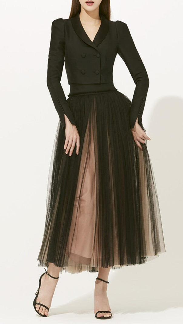 AIIZIE DOUBLE-BREASTED LONG-SLEEVED BLAZER AND WAISTED MESH DRESS - product image