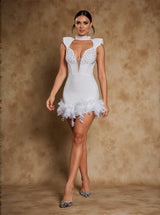 Okalynn Sleeveless Crystal Feather Mini Dress