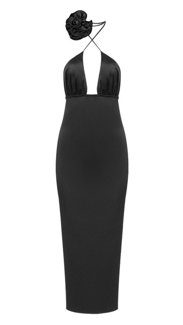 AIIZIE DEEP V MAXI DRESS IN BLACK - product image