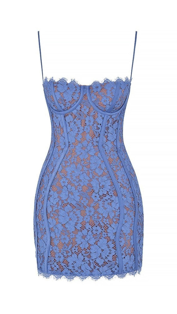 AIIZIE LACE MINI DRESS IN PURPULE - product image