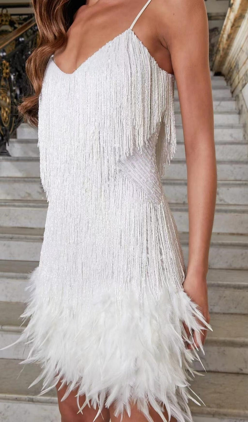 TASSEL FEATHER MINI DRESS