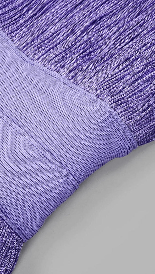 AIIZIE TASSEL MINI DRESSIN PURPLE - product image