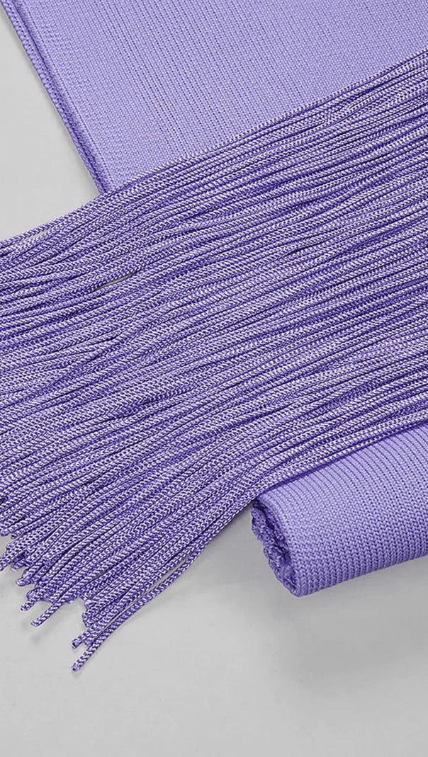 AIIZIE TASSEL MINI DRESSIN PURPLE - product image