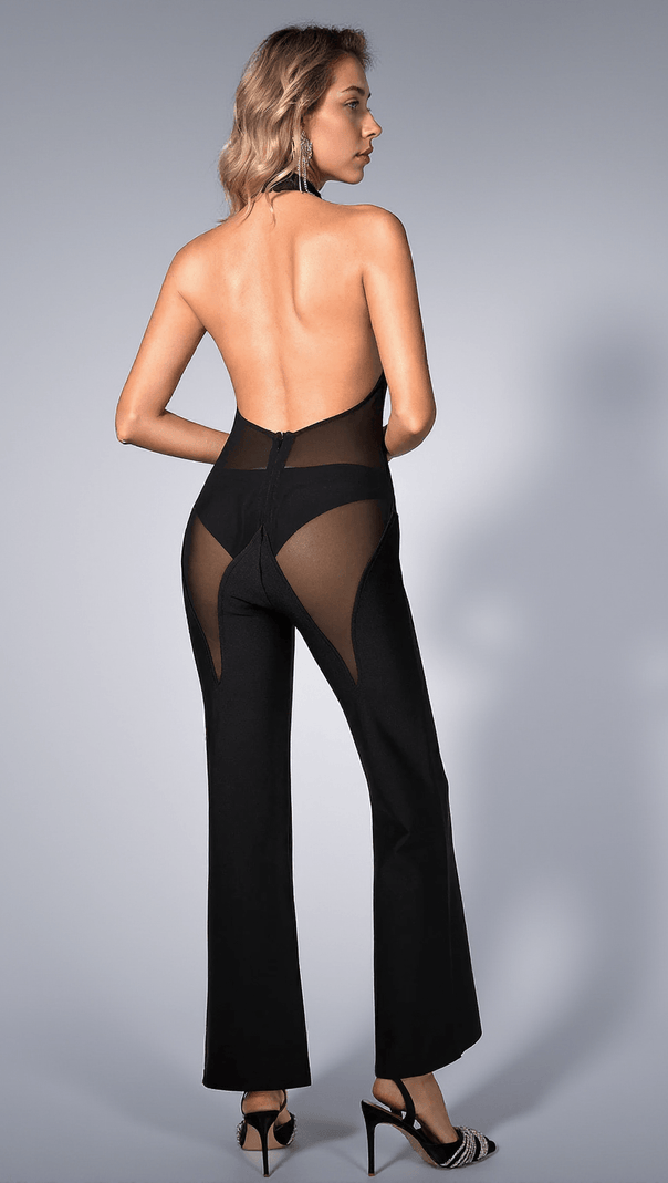 AIIZIE BRIELYN MESH HALTERNECK JUMPSUIT - product image