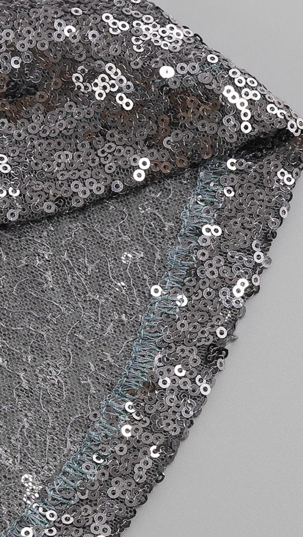 AIIZIE MIDI DRESS WITH SEQUINS SLITS IN SLIVER - product image