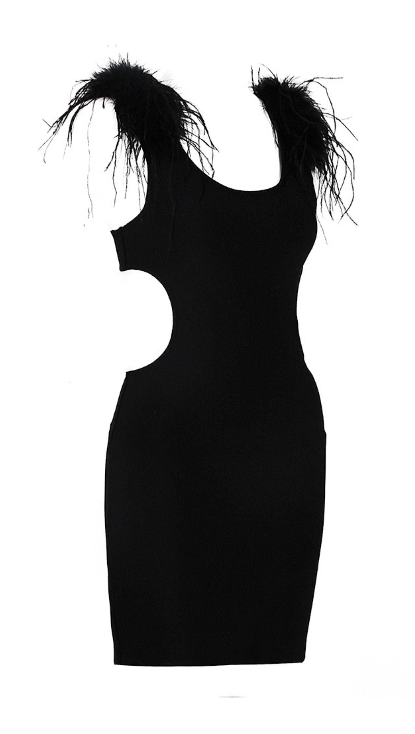 MESH FEARHER BANDAGE MINI DRESS IN BLACK