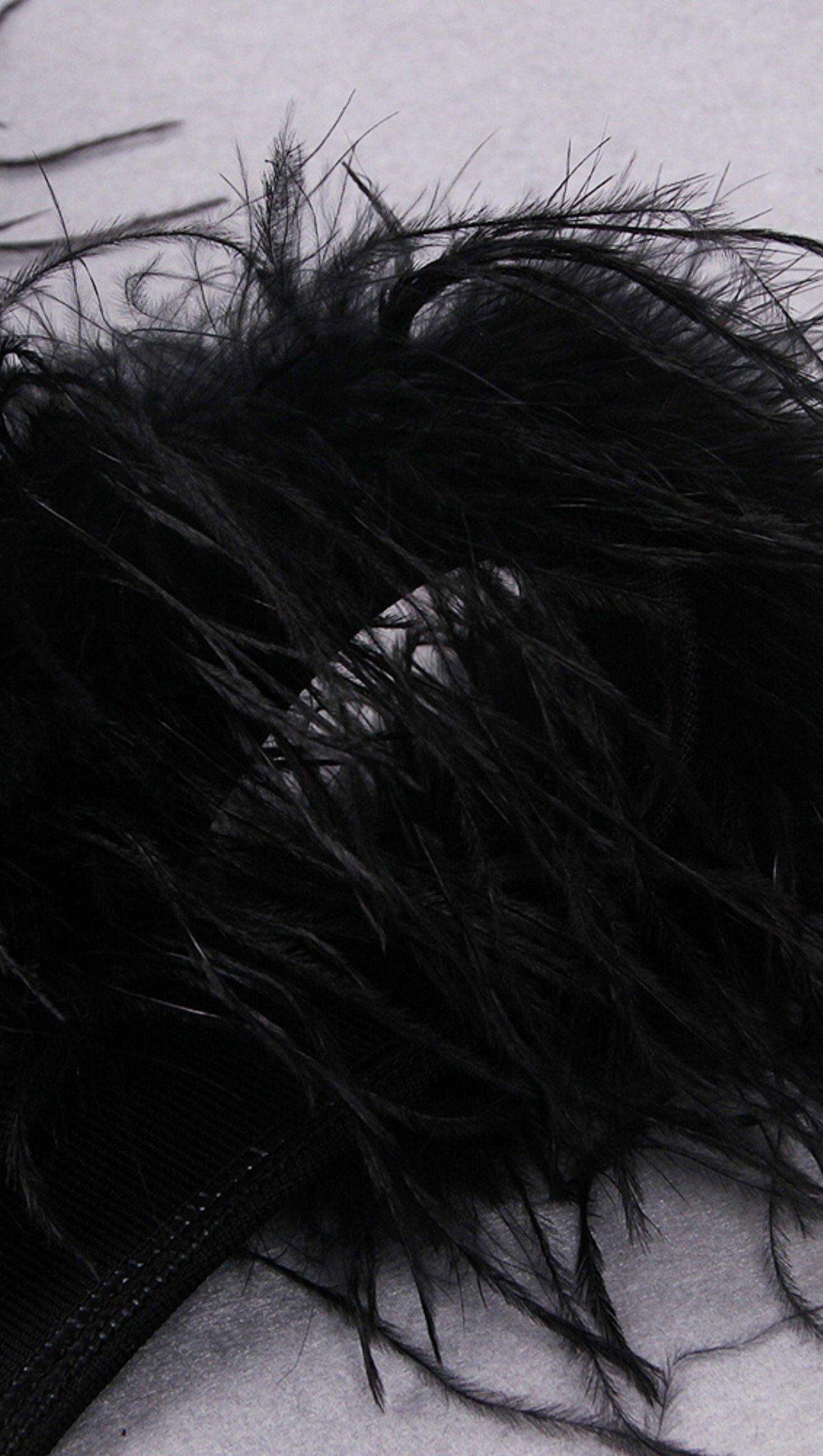 MESH FEARHER BANDAGE MINI DRESS IN BLACK