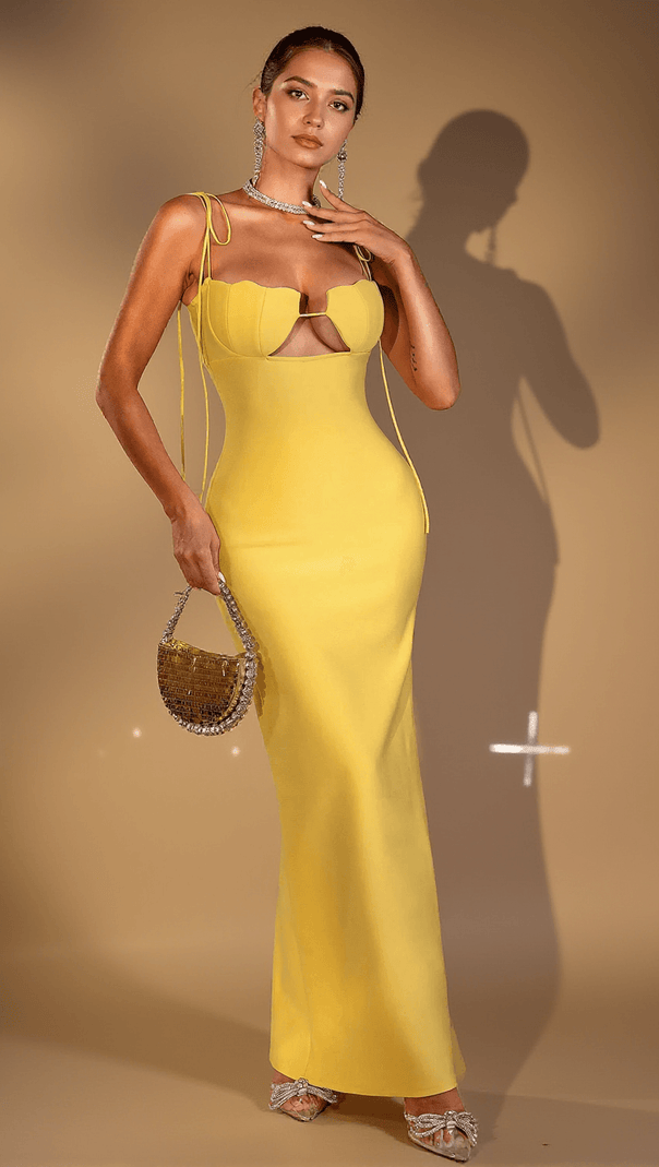 AIIZIE EBONI CORSET FLORAL DRESS - product image