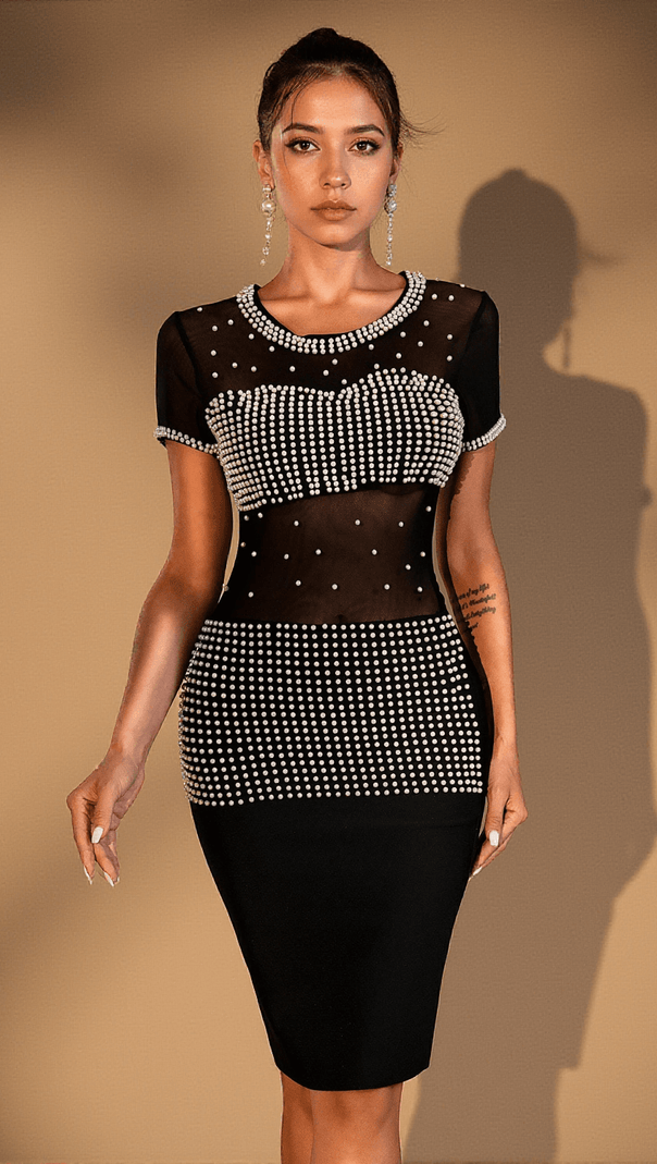 AIIZIE ILANA PEARL MESH BLACK DRESS - product image