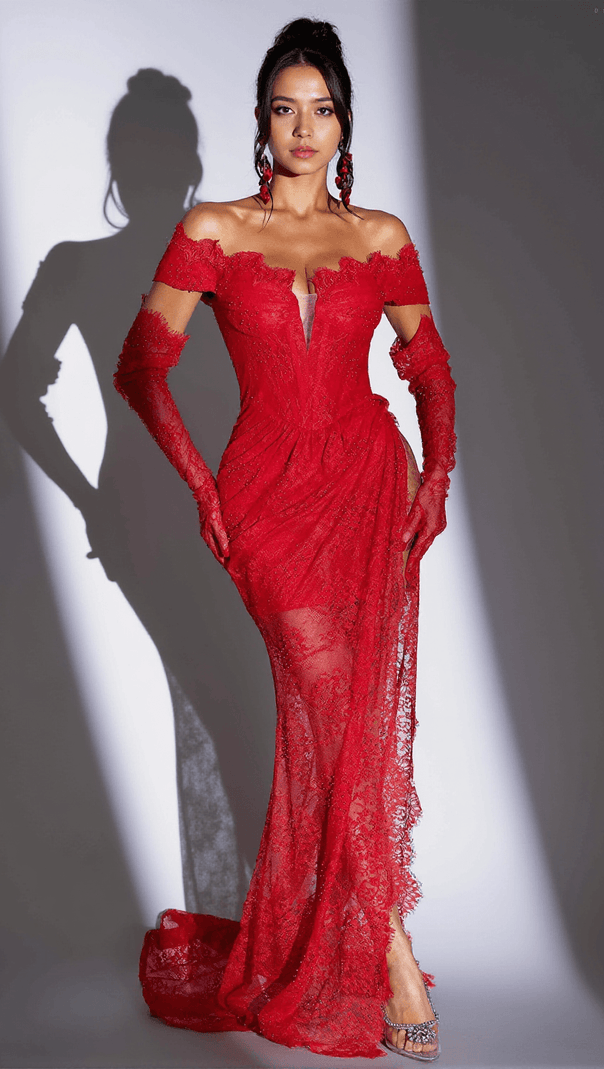 AIIZIE SARKELLI LACE FLORAL PLEAT MAXI DRESS - product image