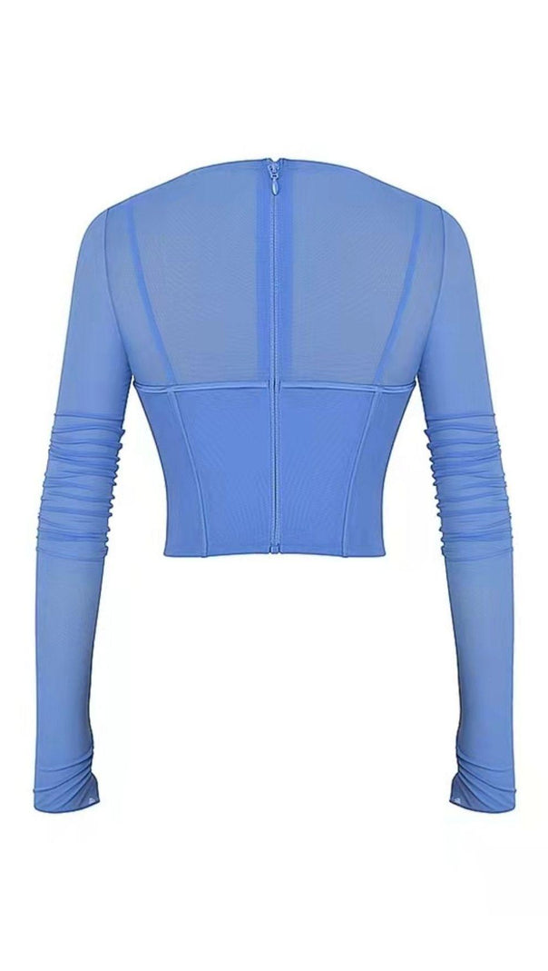 AIIZIE LONG SLEEVE CORSET TOP IN BLUE - product image